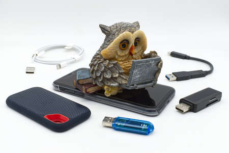 Cute winter owl figurine using a laptop computer.