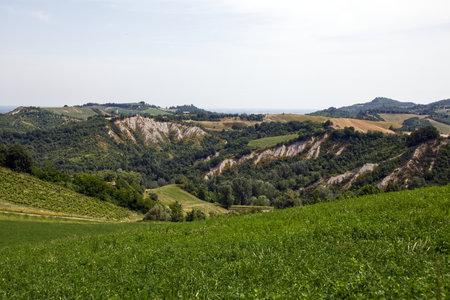 Landscape of Bologna, Valsamoggia countryside, showcasing rolling hills with eroded terraces. Italyの写真素材
