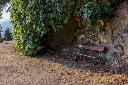 A bench in the parkの写真素材