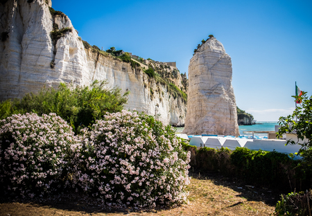 Holiday in Vieste, Puglia, Italyの写真素材