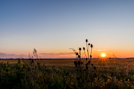 Sunset on the fieldの写真素材