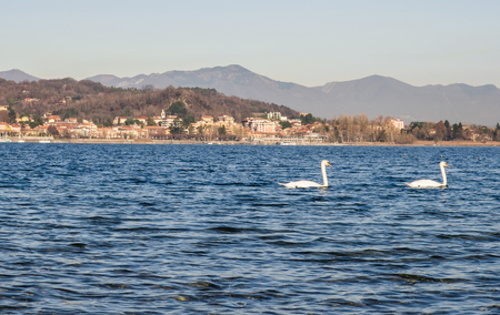 Landscape of Lago Maggiore, Italyの写真素材