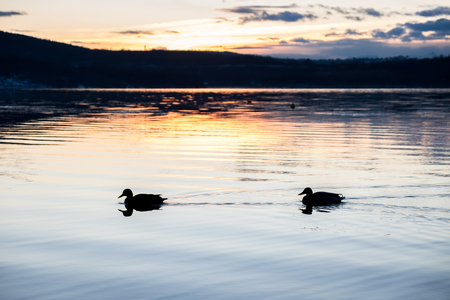 Lake of Viverone at sunsetの写真素材