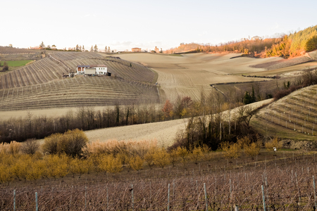 A landscape of the Monferrato, Italyの写真素材