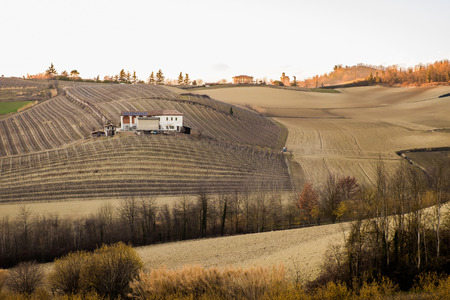 A landscape of the Monferrato, Italyの写真素材