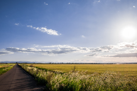A sunny fieldの写真素材