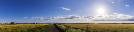 A panoramic fieldの写真素材