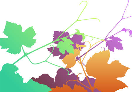 Vine leavesのイラスト素材