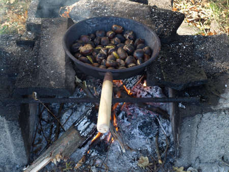 Barbecue BBQの写真素材