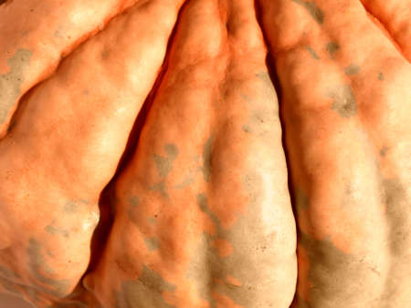 Pumpkinの写真素材