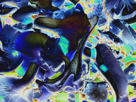 Abstract floral fractal background illustrationの写真素材