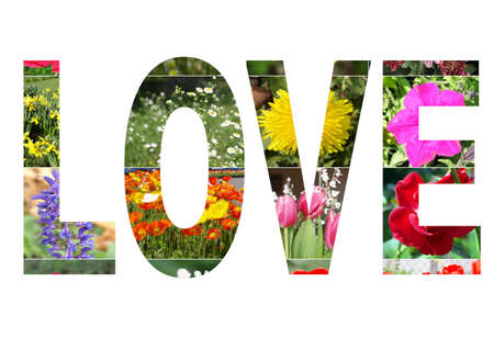 Love text written with a floral collageの写真素材