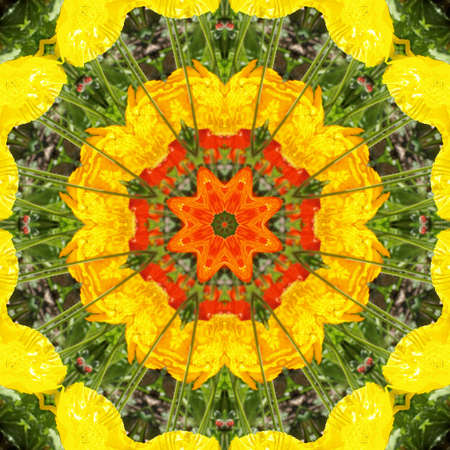 Colourful abstract illustration useful as a backgroundの写真素材