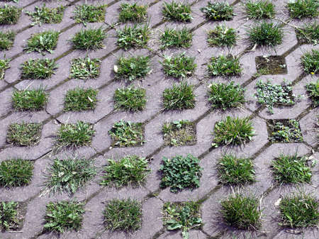 Concrete grass reinforcement grid for car parkの写真素材