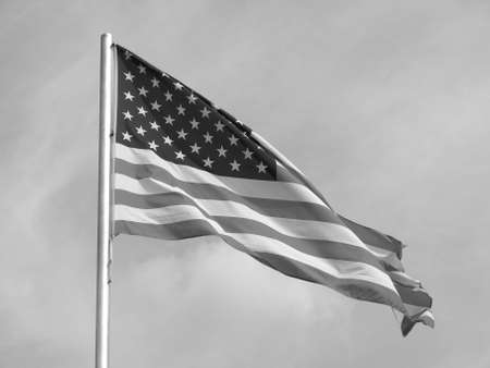 Flag of the USA (United States of America)の写真素材