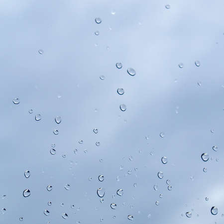 Rain water droplets useful as a backgroundの写真素材