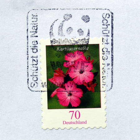 GERMANY, CIRCA 2006 - Kartaeusernelke flower stamp, Germany, Circa 2006の写真素材
