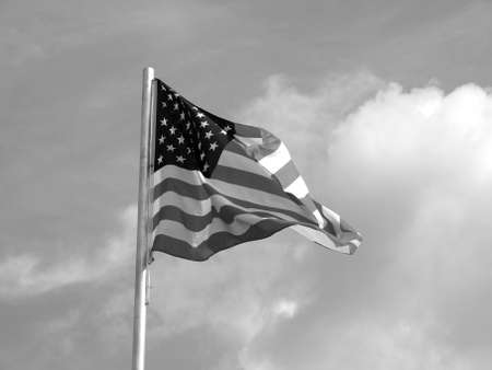 Flag of the USA (United States of America)