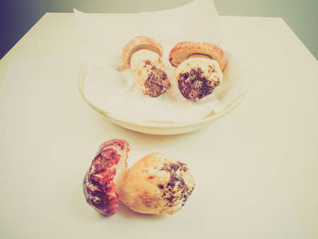 Vintage looking Boletus edulis aka penny bun or porcino or cepの写真素材