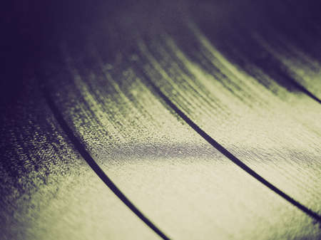 Vintage looking Detail of vinyl record (music recording support)の写真素材