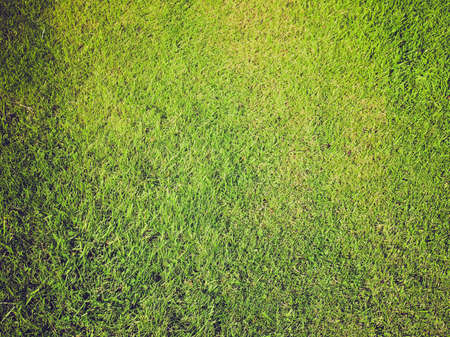 Vintage looking Green grass meadow lawn useful as a background