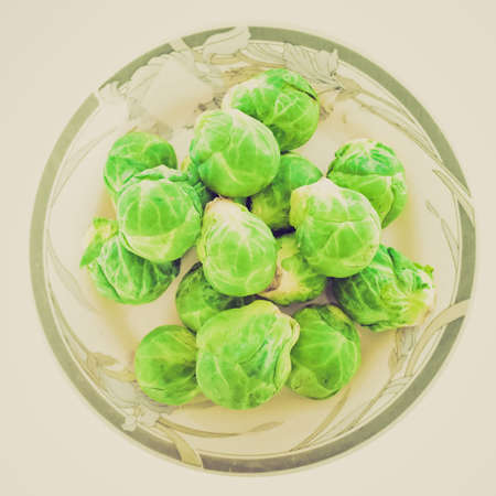 Vintage looking Brussel sprouts mini cabbages isolated