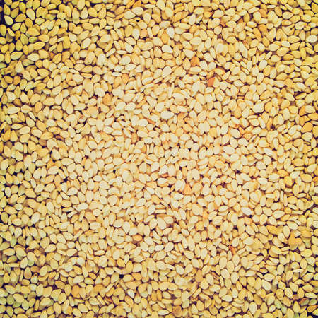 Vintage looking A heap of brown yellow sesame seedsの写真素材