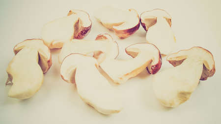 Vintage looking Boletus edulis aka penny bun or porcino or cepの写真素材