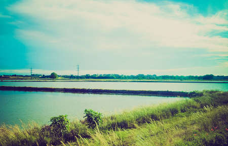 Vintage looking Paddy field flooded parcel of arable land used for growing rice crops, near...