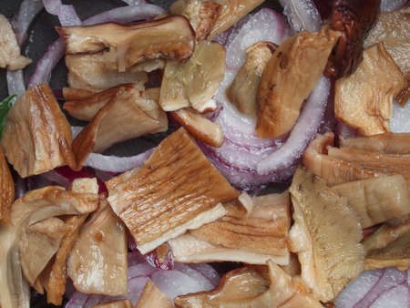 Boletus edulis aka penny bun or porcino mushroom or cep with red onion ringsの写真素材