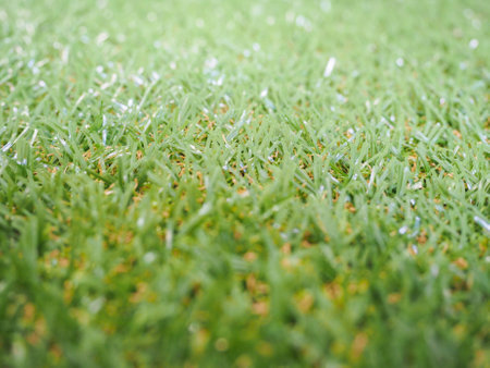 Green artificial grass meadow useful as a backgroundの写真素材
