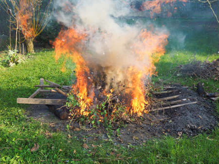 Bonfire in a meadow amidst the grass