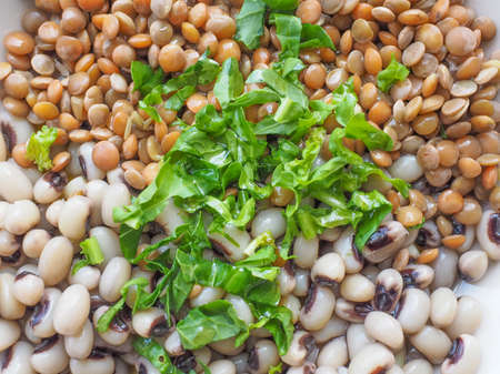 Beans and lentils legumes with rocket salad
