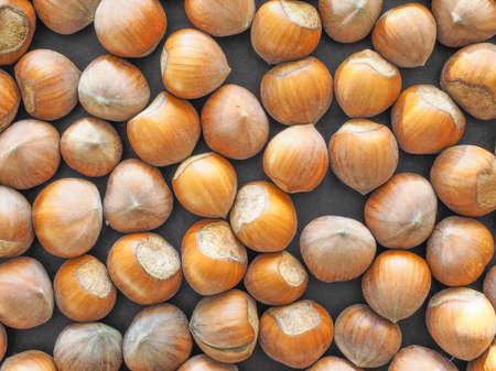Hazelnut dried fruits aka cobnut or filbert nut useful as background