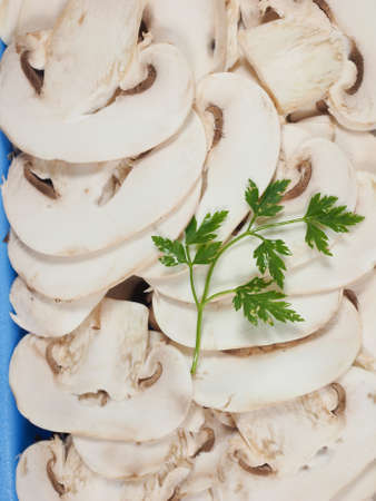 Agaricus bisporus aka champignons mushrooms useful as a backgroundの写真素材