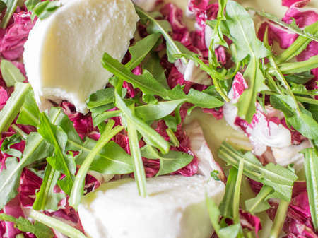 Red and green lettuce salad with mozzarella cheese