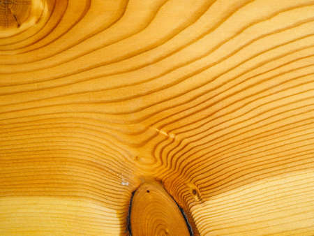 Brown larch wood texture useful as a backgroundの写真素材