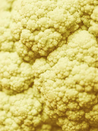 Vintage looking Detail of a green cauliflower vegetable foodの写真素材