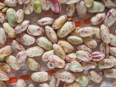 Crimson beans (Phaseolus vulgaris) aka borlotti beans or cranberry beans vegetables, vegetarian food...