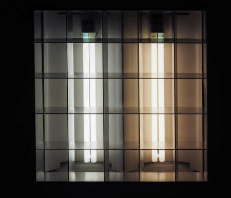 A fluorescent neon energy saving light bulbの写真素材