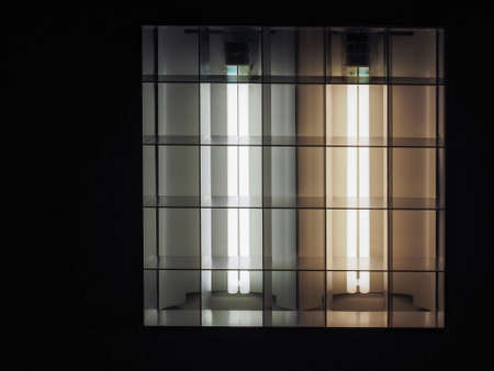 A fluorescent neon energy saving light bulbの写真素材