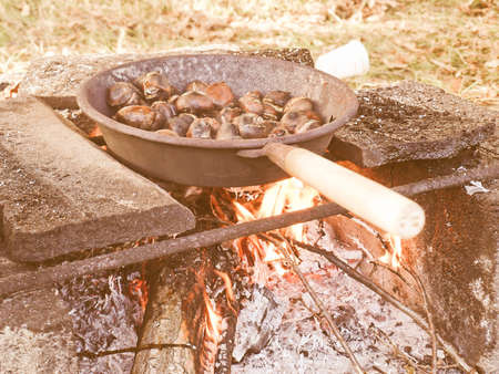 Vintage looking Barbecue or BBQ at picnicの写真素材