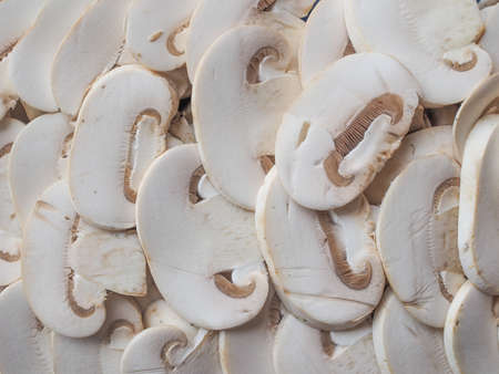Agaricus bisporus aka champignons mushrooms food useful as a backgroundの写真素材