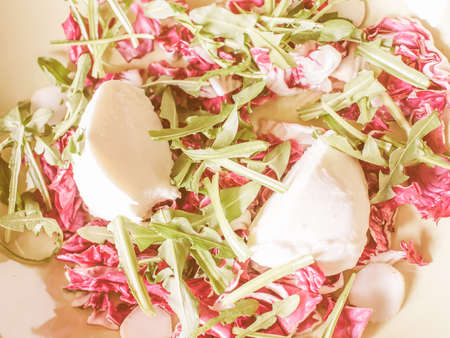 Vintage looking Red and green lettuce salad with mozzarella cheeseの写真素材
