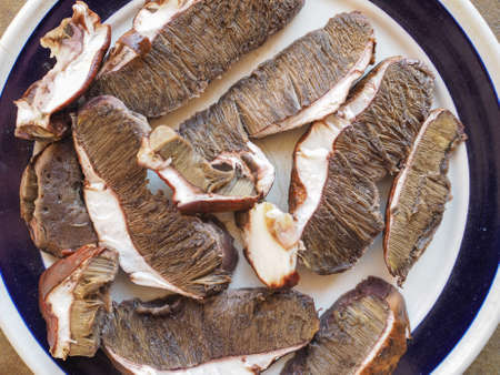 Porcini mushrooms in a dishの写真素材