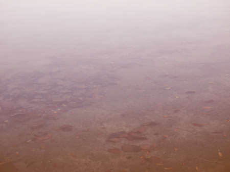 TURIN, ITALY - NOVEMBER 07, 2015: Ruins of Monorail built for the Italia 61 exhibition in 1961 for the centenary of Italian reunion vintageのeditorial素材
