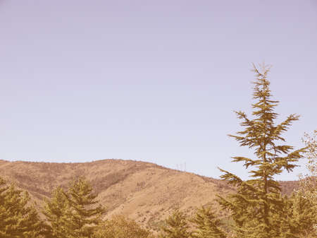 Graian Alps (Alpi Graie) in Givoletto, Turin, Italy vintageの写真素材