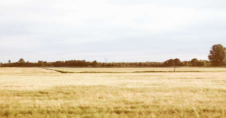 Vintage looking Paddy field flooded parcel of arable land used for growing rice crops, near Vercelli, Lombardy, Italyの写真素材
