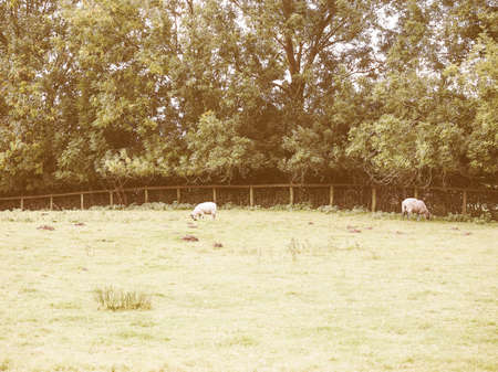 English countryside in Tanworth in Arden Warwickshire, UK vintageの写真素材