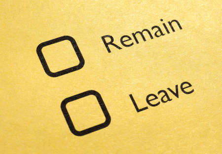 June 23 referendum: Should the United Kingdom remain a member of the European Union or leave the...
